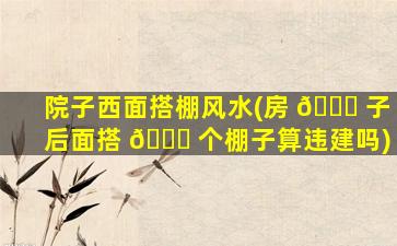 院子西面搭棚风水(房 🐎 子后面搭 🐝 个棚子算违建吗)